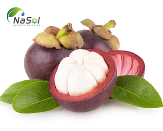 9 tác dụng của trái măng cụt 9 tác dụng của trái măng cụt