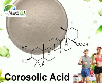 Axit corosolic là gì? Nguồn gốc và tác dụng sinh học Axit corosolic là gì? Nguồn gốc và tác dụng sinh học