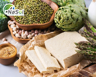 Canxi từ thực vật: Nguồn dinh dưỡng tự nhiên, an toàn và hiệu quả Canxi từ thực vật: Nguồn dinh dưỡng tự nhiên, an toàn và hiệu quả