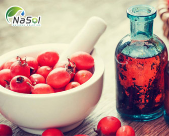 So sánh công dụng của chiết xuất thông đỏ với Aspirin - Nguyên liệu Nasol So sánh công dụng của chiết xuất thông đỏ với Aspirin - Nguyên liệu Nasol