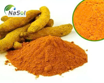 Curuminoid là gì? Cấu trúc nguồn gốc và ứng dụng thực tế Curuminoid là gì? Cấu trúc nguồn gốc và ứng dụng thực tế