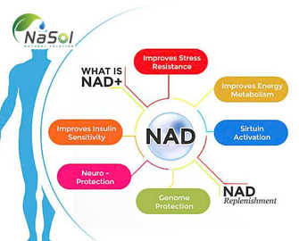 Làm thế nào để tăng NAD trong cơ thể Làm thế nào để tăng NAD trong cơ thể