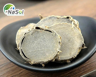 Lợi ích sức khỏe của nghệ đen (Curcuma phaeocaulis) Lợi ích sức khỏe của nghệ đen (Curcuma phaeocaulis)