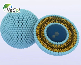 Các dòng nguyên liệu Liposome