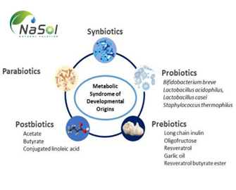 Phân biệt Parabiotics và postbiotics: các dạng của chúng Phân biệt Parabiotics và postbiotics: các dạng của chúng