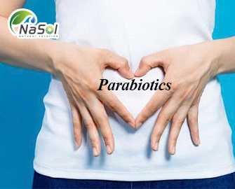 Parabiotics là gì? ứng dụng trong sản xuất thực phẩm chức năng Parabiotics là gì? ứng dụng trong sản xuất thực phẩm chức năng