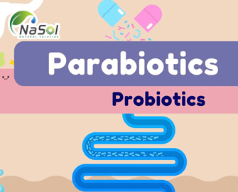 13 tác dụng có lợi của parabiotics với sức khỏe 13 tác dụng có lợi của parabiotics với sức khỏe