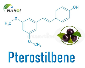 Pterostilbene là gì? Nguồn gốc và tác dụng Pterostilbene là gì? Nguồn gốc và tác dụng
