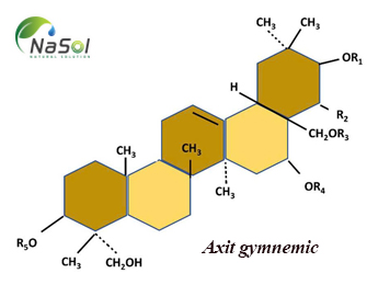 Axit gymnemic là gì? Nguồn gốc và tác dụng Axit gymnemic là gì? Nguồn gốc và tác dụng