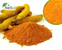 Curuminoid là gì? Cấu trúc nguồn gốc và ứng dụng thực tế