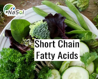 Acid béo mạch ngắn (SCFAs) là gì? Và những lợi ích trên tiêu hóa  Acid béo mạch ngắn (SCFAs) là gì? Và những lợi ích trên tiêu hóa