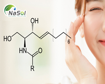 Ceramides là gì? Phân loại và những lợi ích trên da Ceramides là gì? Phân loại và những lợi ích trên da
