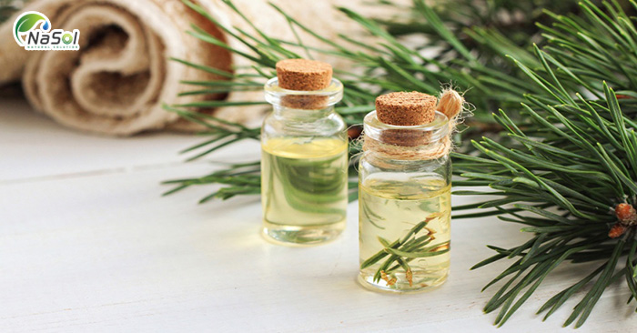 Thông hàn quốc hoạt động ntn