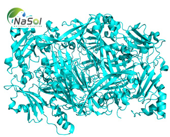 Diamine Oxidase (DAO) là gì và vai trò với chứng thiếu hụt DAO Diamine Oxidase (DAO) là gì và vai trò với chứng thiếu hụt DAO