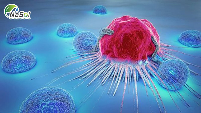 Hoạt tính chống ung thư