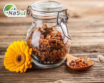 Keo ong nâu là gì? Tinh chế và các lưu ý khi sử dụng Keo ong nâu là gì? Tinh chế và các lưu ý khi sử dụng