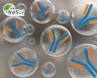 Lợi ích của Immunoglobulin (IgY) với sức khỏe con người Lợi ích của Immunoglobulin (IgY) với sức khỏe con người