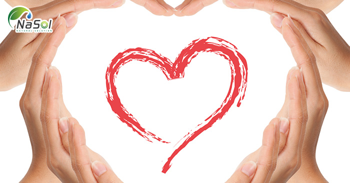 Tác dụng bảo vệ tim mạch của sơn tra táo gai