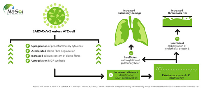 Lợi ích sức khỏe của Vitamin k2 MK7 trên các bệnh nhân mắc Covid-19