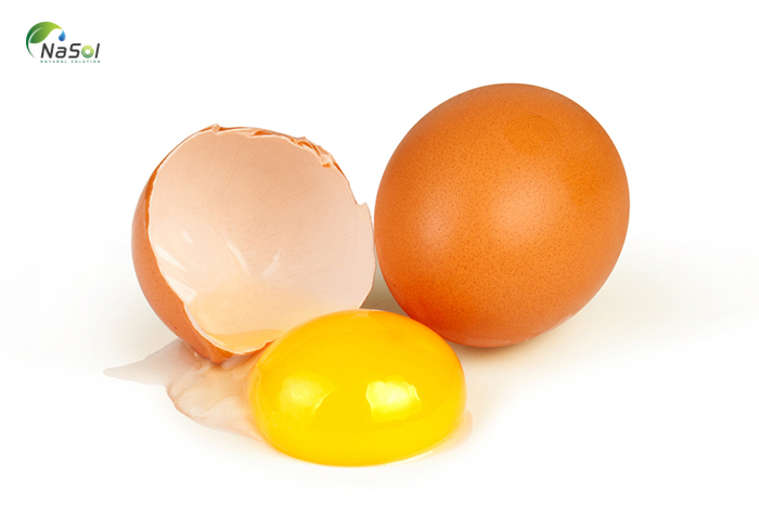 Lòng đỏ trứng gà giàu lecithin
