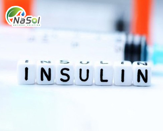 Mối liên hệ mật thiết giữa chỉ số insulin và bệnh tiểu đường Mối liên hệ mật thiết giữa chỉ số insulin và bệnh tiểu đường