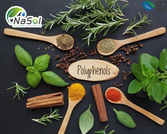 Polyphenol là gì? Phân loại và các chất nổi bật Polyphenol là gì? Phân loại và các chất nổi bật