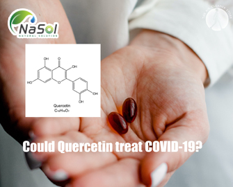 Lợi ích của Quercetin trong điều trị Covid-19 Lợi ích của Quercetin trong điều trị Covid-19