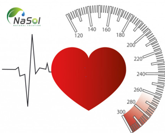 Ảnh hưởng của NKCP lên huyết áp Ảnh hưởng của NKCP lên huyết áp