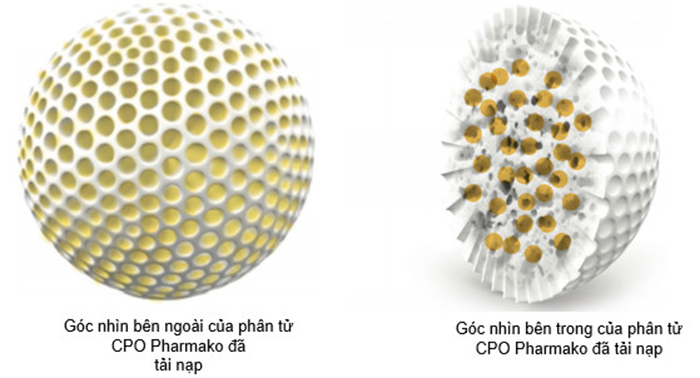 Hệ thống CPO với chất dầu