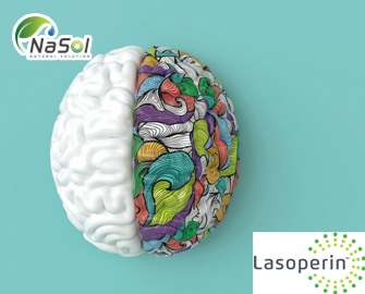 Lasoperin™ cải thiện chức năng nhận thức