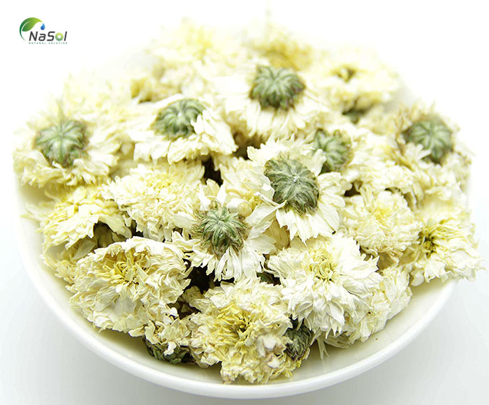 Chiết xuất cúc giàu Luteolin