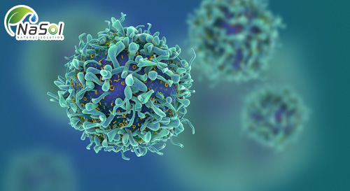 selenium giảm nguy cơ mắc bệnh ung thư