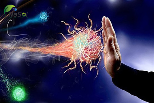 selenium giúp tắng cường hệ thống miễn dịch