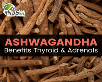 Lợi ích của Ashwagandha đối với tuyến giáp và tuyến thượng thận