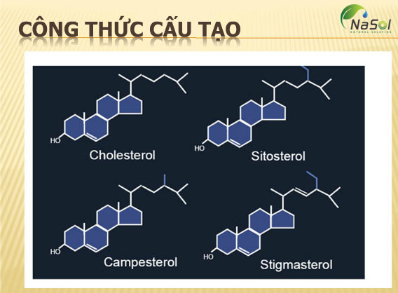 Cấu trúc so sánh giữa cholesterol và một số sterol và stanol thực vật