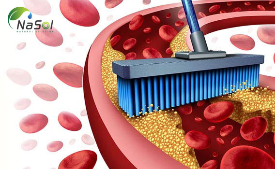 Cơ chế hoạt động của Nattokinase