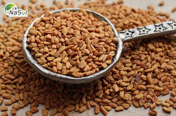 Sử dụng Hạt Hồ Lô ba theo kinh nghiệm dân gian