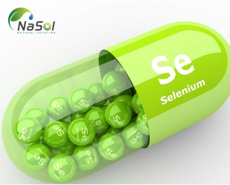 7 lợi ích sức khỏe của Selenium dựa trên nghiên cứu khoa học 7 lợi ích sức khỏe của Selenium dựa trên nghiên cứu khoa học