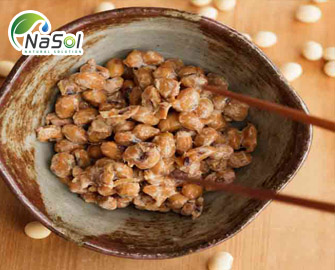 5 cơ chế hoạt động của Nattokinase