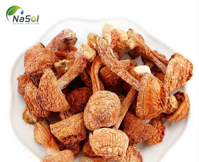 Tác dụng của Nấm Agaricus