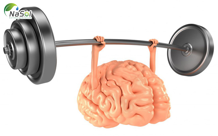 Tăng cường sức khỏe cho não