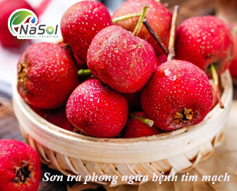 Sơn tra (Táo gai) giúp phòng ngừa bệnh tim mạch