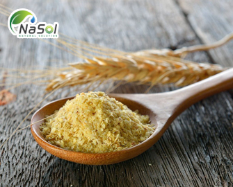 Spermidine là gì? Những lợi ích với sức khỏe Spermidine là gì? Những lợi ích với sức khỏe