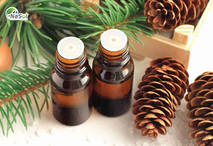 Ứng dụng của thông hàn quốc