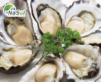 Tác dụng quý của Hàu biển và các tác dụng phụ cần biết  Tác dụng quý của Hàu biển và các tác dụng phụ cần biết