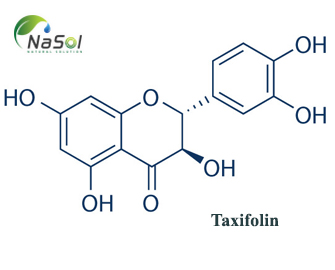 Taxifolin là gì? Và các lợi ích với sức khỏe Taxifolin là gì? Và các lợi ích với sức khỏe