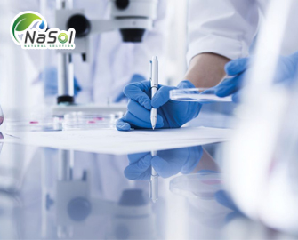 Tổng hợp các nghiên cứu của Enzogenol Tổng hợp các nghiên cứu của Enzogenol