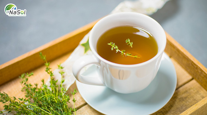 Trà cỏ xạ hương núi