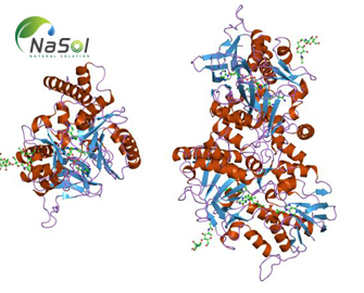 Vai trò của Polyamine với tóc Vai trò của Polyamine với tóc
