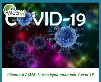 Vitamin K2 (MK-7) có thể làm giảm sự trầm trọng khi mắc Covid-19 Vitamin K2 (MK-7) có thể làm giảm sự trầm trọng khi mắc Covid-19